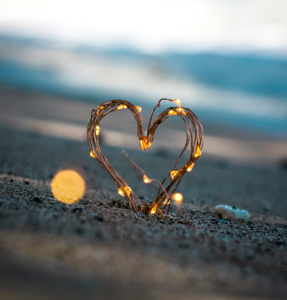 必壹愛-中國殘疾人紅娘網(wǎng)